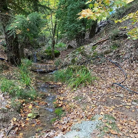 Vila Σπίτι Στο Βουνό Tsivlos Exteriér fotografie